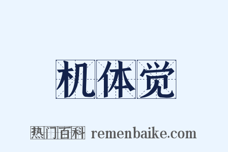 机体觉是什么意思的图片